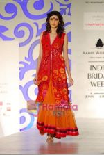 Model walks the ramp for Monapali at Aamby Valley India Bridal week DAY 3 on 31st Oct 2010 (24).JPG